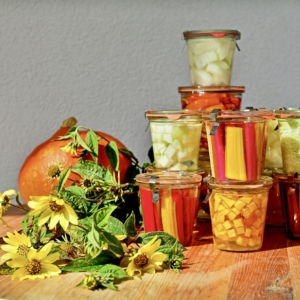 FERMENTIEREN: Workshop mit Wolfgang Zemanek